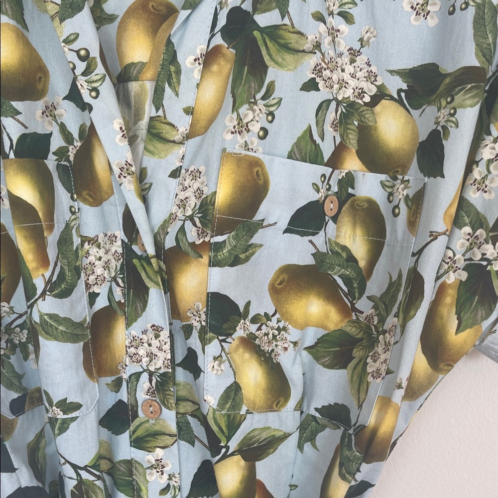 Zara Fruit Print midi Dress with Belt - Picture 2 of 7